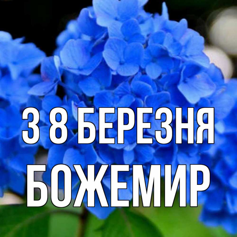 Открытка на каждый день з підписом, Божемир З 8 БЕРЕЗНЯ синие цветы Прикольна листівка з побажанням онлайн скачати безкоштовно 