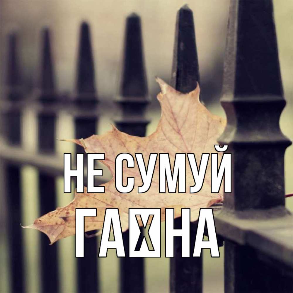 Открытка на каждый день з підписом, Гаїна Не сумуй лист клена Прикольна листівка з побажанням онлайн скачати безкоштовно 
