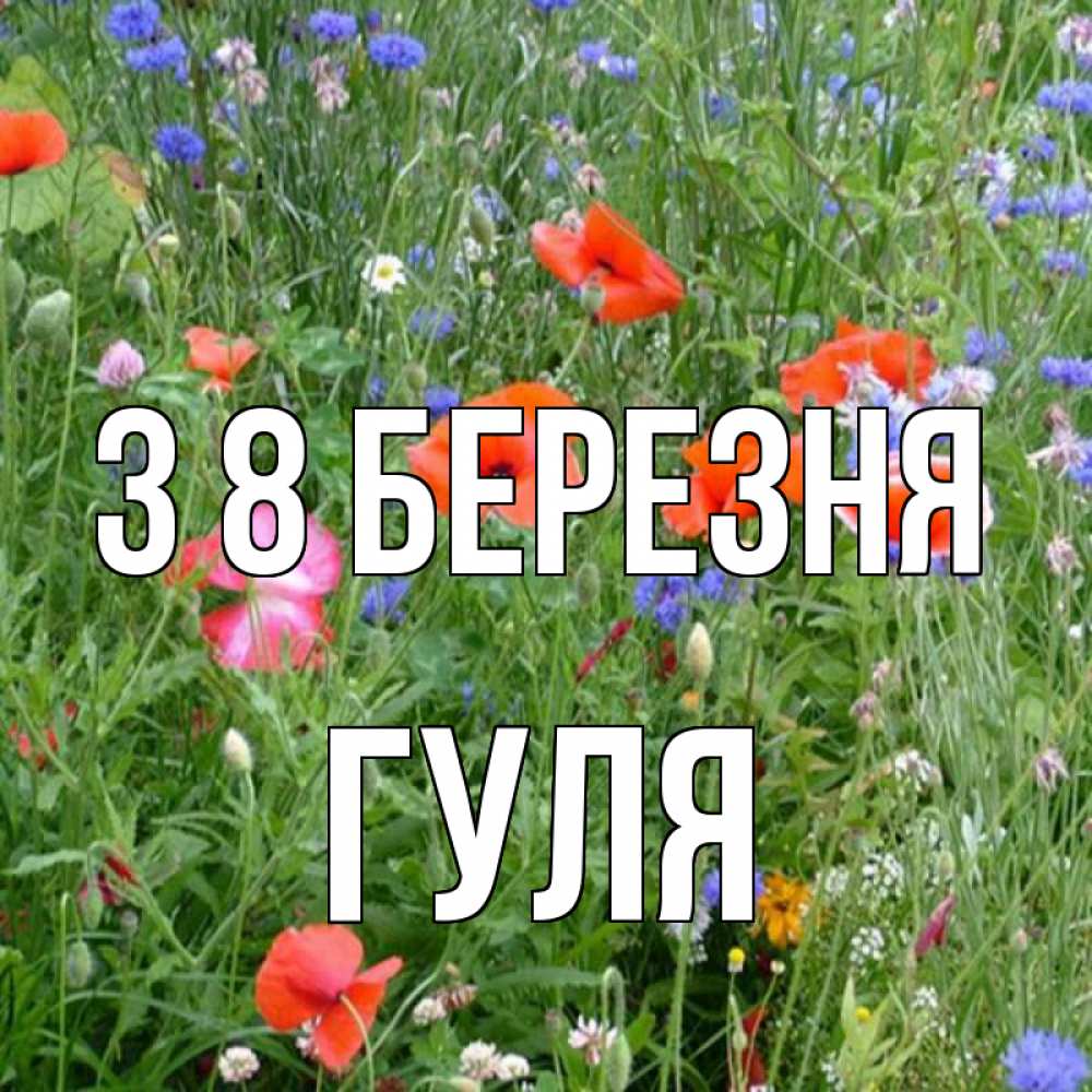 Открытка на каждый день з підписом, Гуля З 8 БЕРЕЗНЯ международный женский день 4 Прикольна листівка з побажанням онлайн скачати безкоштовно 