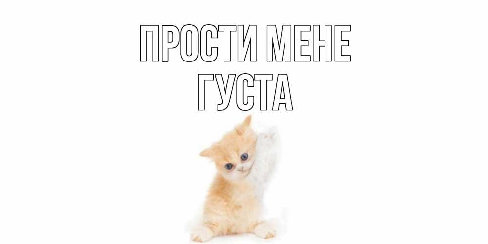 Открытка на каждый день з підписом, Густа Прости мене кот Прикольна листівка з побажанням онлайн скачати безкоштовно 
