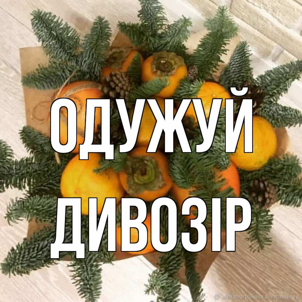 Открытка на каждый день з підписом, Дивозір Одужуй апельсины и хурьма Прикольна листівка з побажанням онлайн скачати безкоштовно 