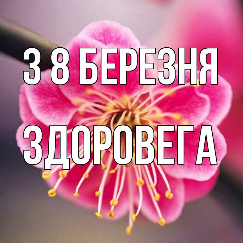 Открытка на каждый день з підписом, Здоровега З 8 БЕРЕЗНЯ цветы Прикольна листівка з побажанням онлайн скачати безкоштовно 