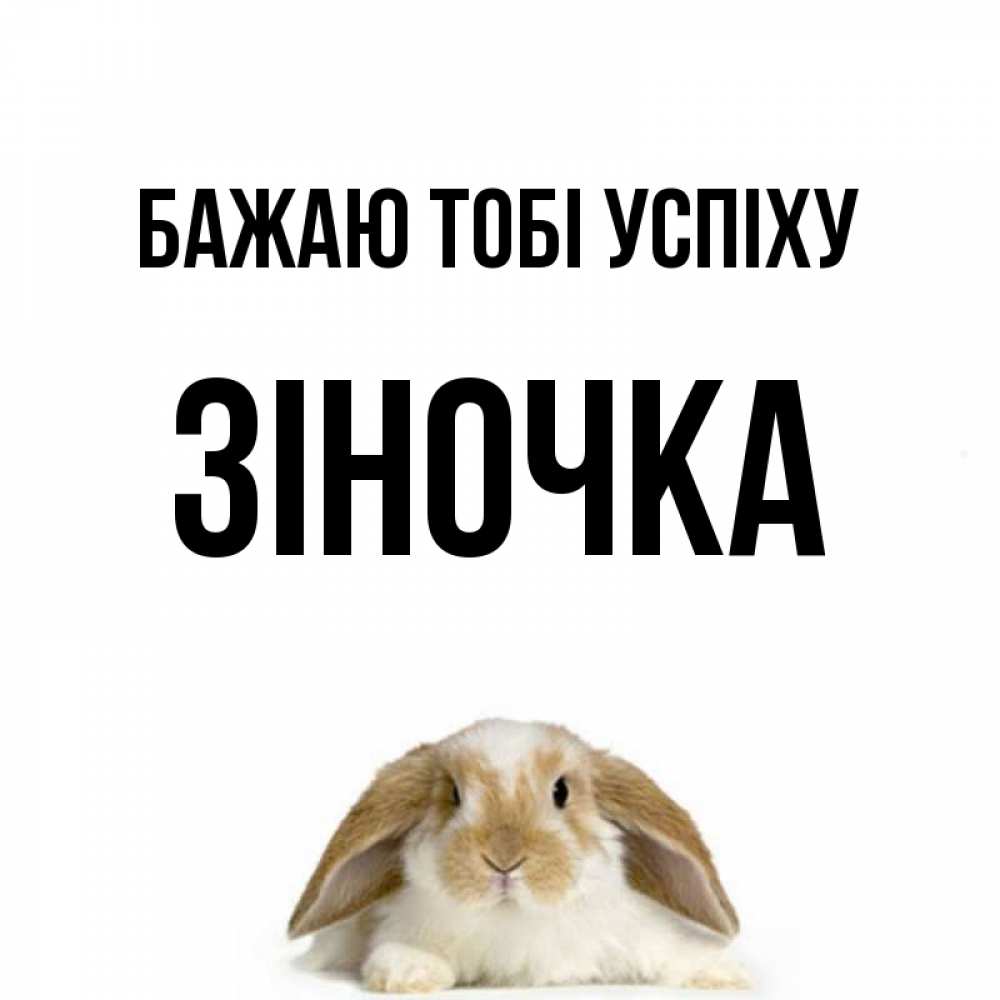 Открытка на каждый день з підписом, Зіночка Бажаю тобі успіху открытки с произвольным текстом который можно вставить в открытку и создать ее самостоятельно бесплатно онлайн Прикольна листівка з побажанням онлайн скачати безкоштовно 