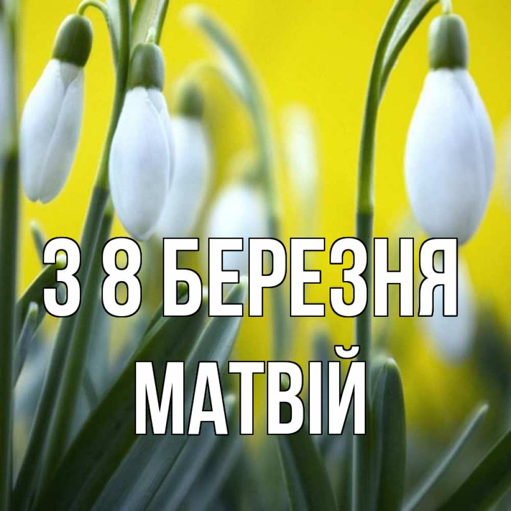Открытка на каждый день з підписом, Матвій З 8 БЕРЕЗНЯ весенние цветы Прикольна листівка з побажанням онлайн скачати безкоштовно 