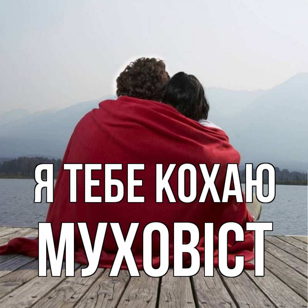 Открытка на каждый день з підписом, Муховіст Я тебе кохаю плед Прикольна листівка з побажанням онлайн скачати безкоштовно 
