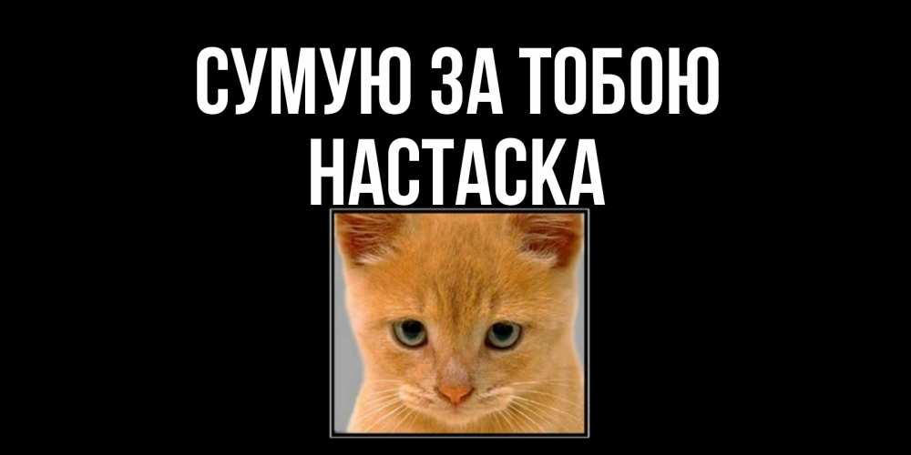 Открытка на каждый день з підписом, Настаска Сумую за тобою открытки рыжий котенок скучает по тебе Прикольна листівка з побажанням онлайн скачати безкоштовно 