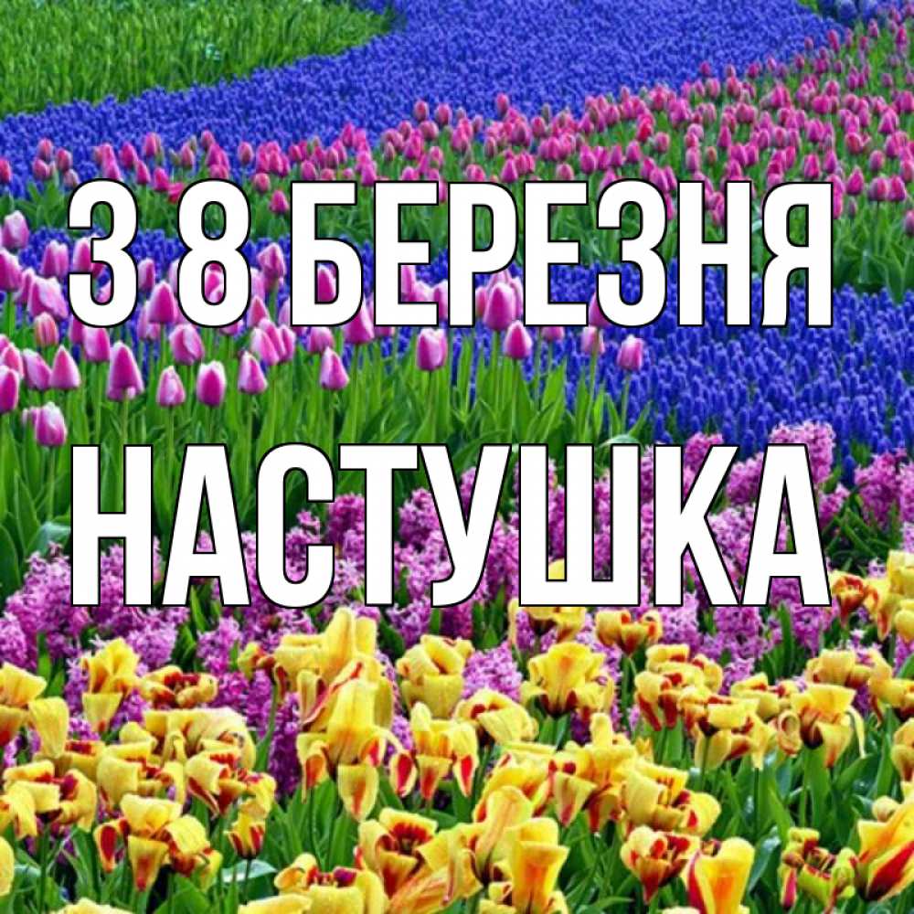 Открытка на каждый день з підписом, Настушка З 8 БЕРЕЗНЯ цветы Прикольна листівка з побажанням онлайн скачати безкоштовно 