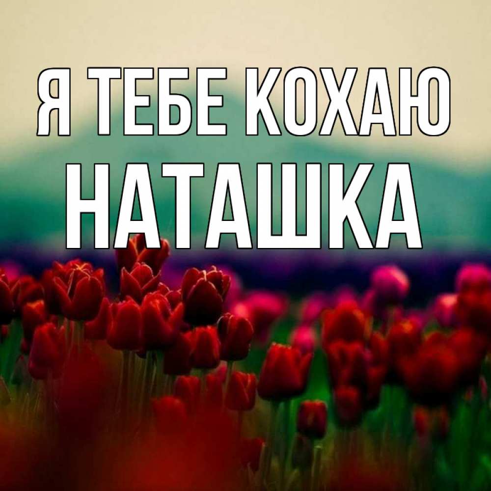 Открытка на каждый день з підписом, Наташка Я тебе кохаю тюльпаны 4 Прикольна листівка з побажанням онлайн скачати безкоштовно 