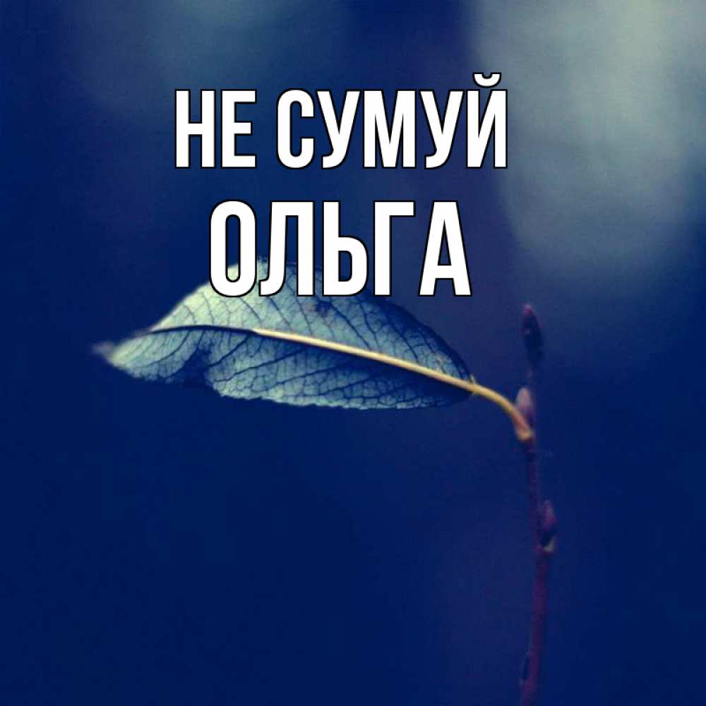 Открытка на каждый день з підписом, Ольга Не сумуй растение Прикольна листівка з побажанням онлайн скачати безкоштовно 