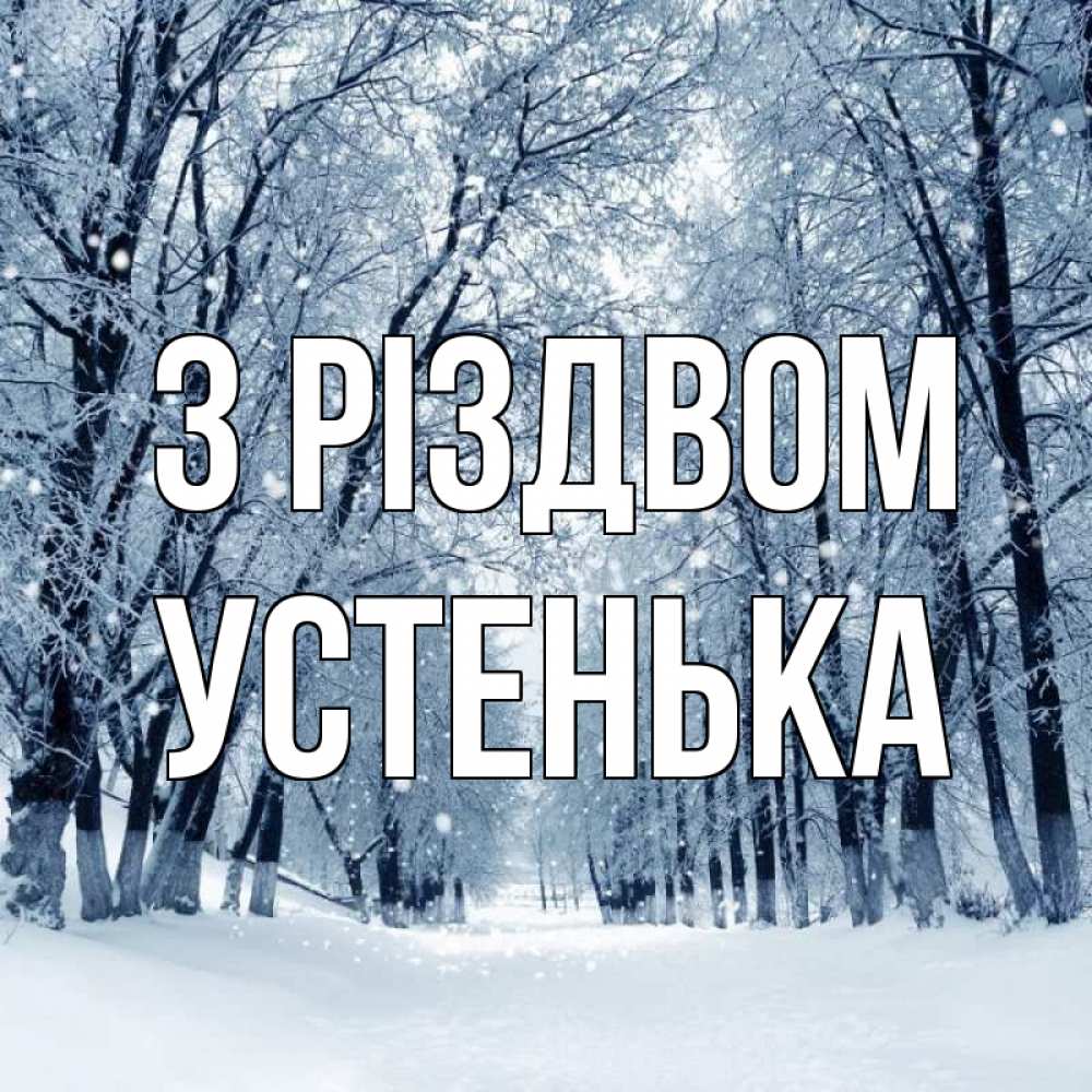 Открытка на каждый день з підписом, Устенька З Різдвом снег, лес, парк Прикольна листівка з побажанням онлайн скачати безкоштовно 