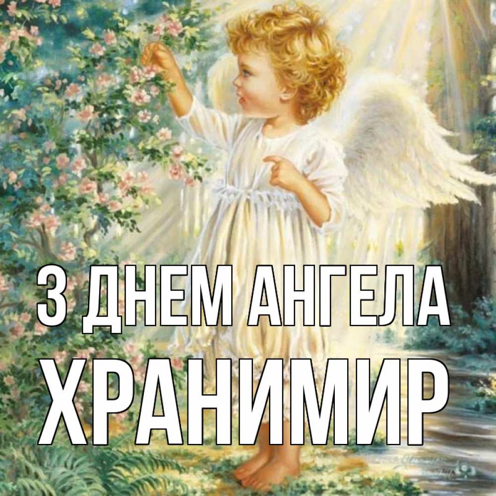Открытка на каждый день з підписом, Хранимир З Днем ангела собирает цветы Прикольна листівка з побажанням онлайн скачати безкоштовно 