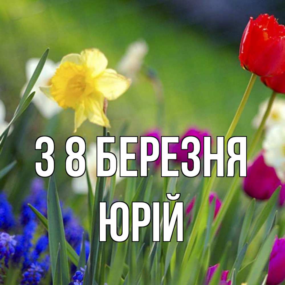 Открытка на каждый день з підписом, Юрій З 8 БЕРЕЗНЯ международный женский день 3 Прикольна листівка з побажанням онлайн скачати безкоштовно 
