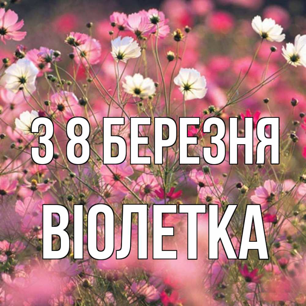 Открытка на каждый день з підписом, Віолетка З 8 БЕРЕЗНЯ красиво 1 Прикольна листівка з побажанням онлайн скачати безкоштовно 