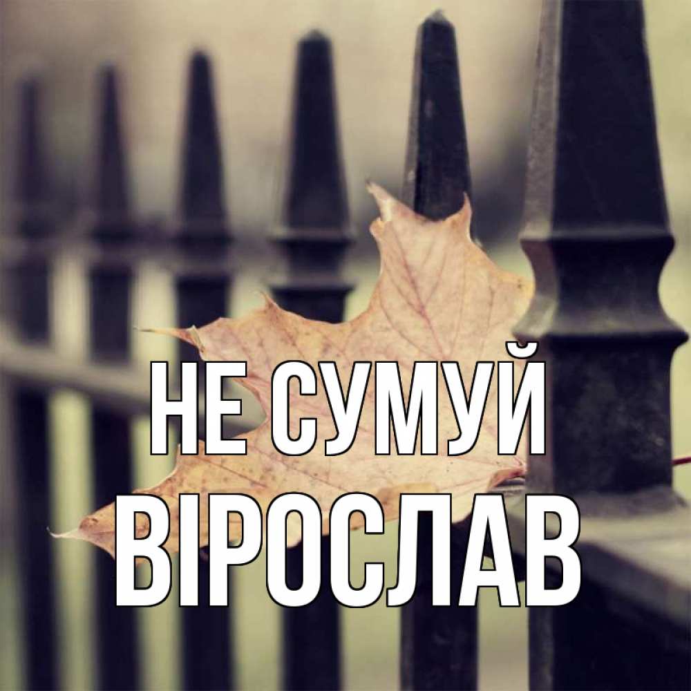 Открытка на каждый день з підписом, Вірослав Не сумуй лист клена Прикольна листівка з побажанням онлайн скачати безкоштовно 