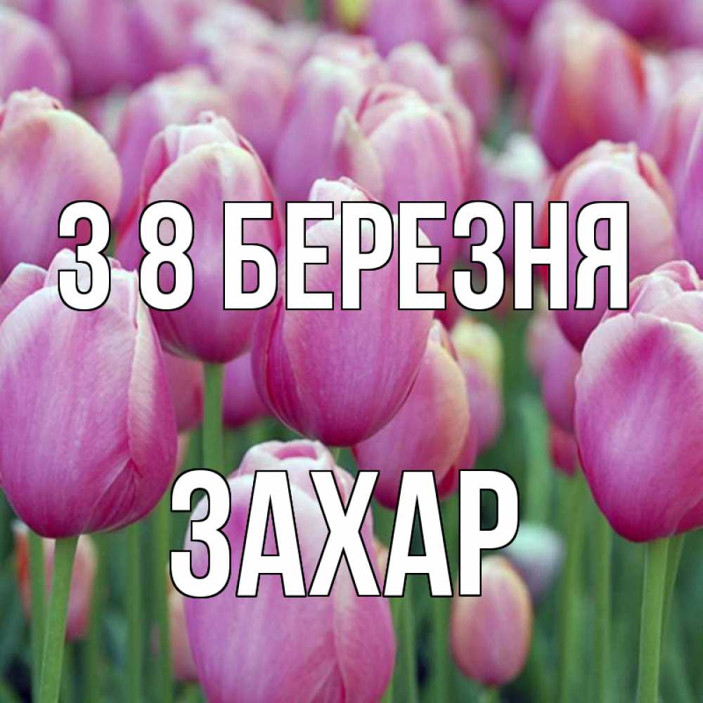 Открытка на каждый день з підписом, Захар З 8 БЕРЕЗНЯ на международный женский день 3 Прикольна листівка з побажанням онлайн скачати безкоштовно 
