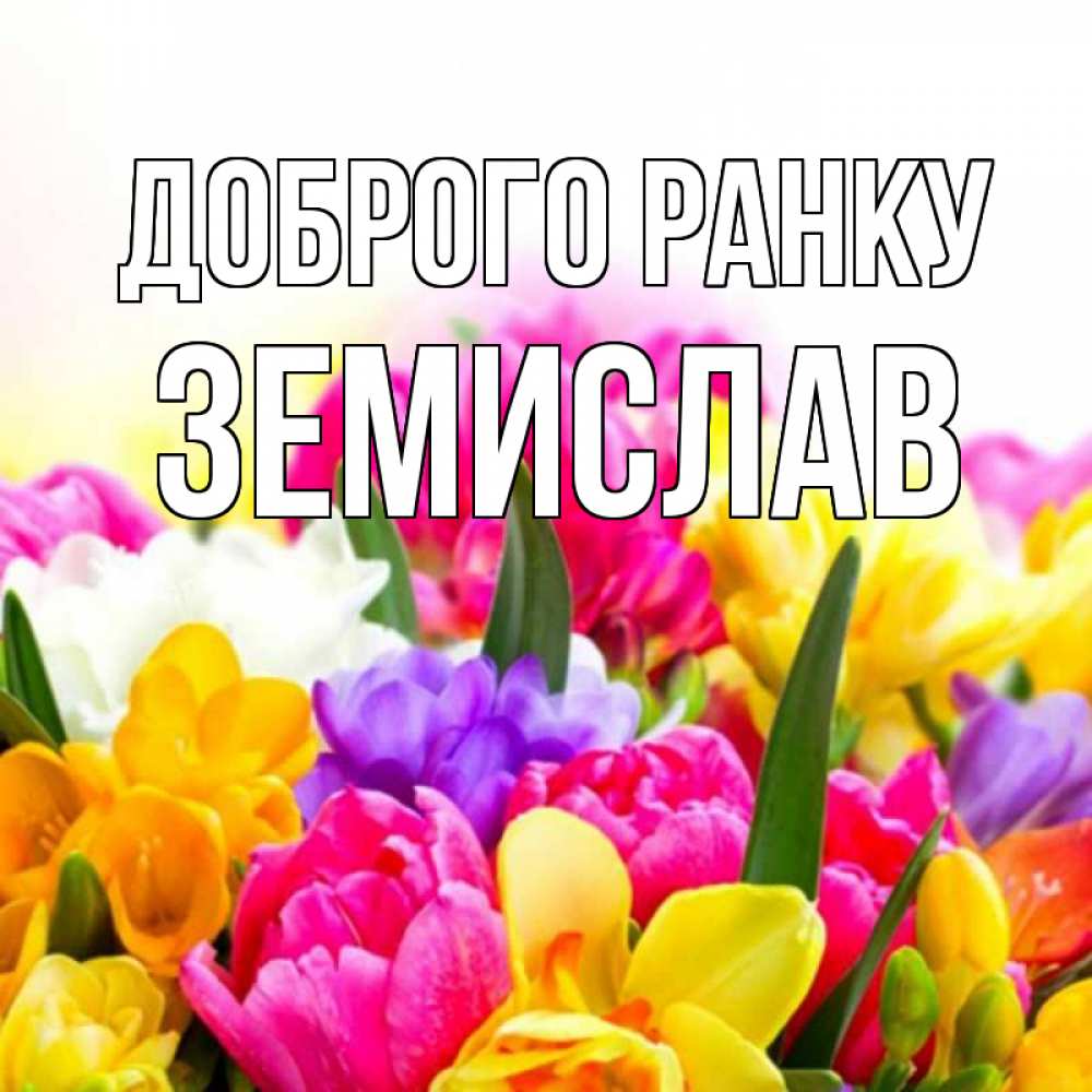 Открытка на каждый день з підписом, Земислав Доброго ранку создать открытку со свое подписью Прикольна листівка з побажанням онлайн скачати безкоштовно 