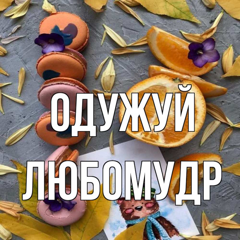 Открытка на каждый день з підписом, Любомудр Одужуй не болейте Прикольна листівка з побажанням онлайн скачати безкоштовно 