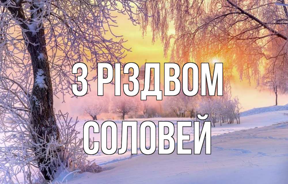 Открытка на каждый день з підписом, Соловей З Різдвом рождество, лес, зима 1 Прикольна листівка з побажанням онлайн скачати безкоштовно 