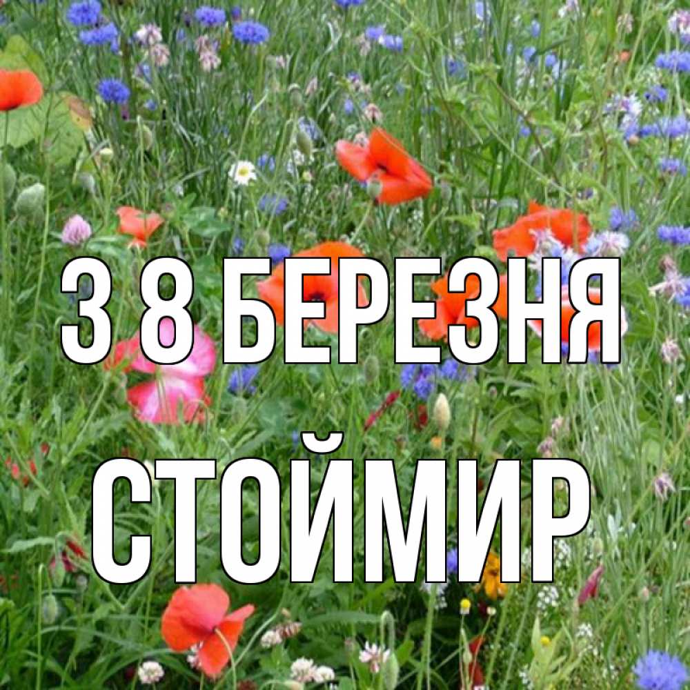 Открытка на каждый день з підписом, Стоймир З 8 БЕРЕЗНЯ международный женский день 4 Прикольна листівка з побажанням онлайн скачати безкоштовно 