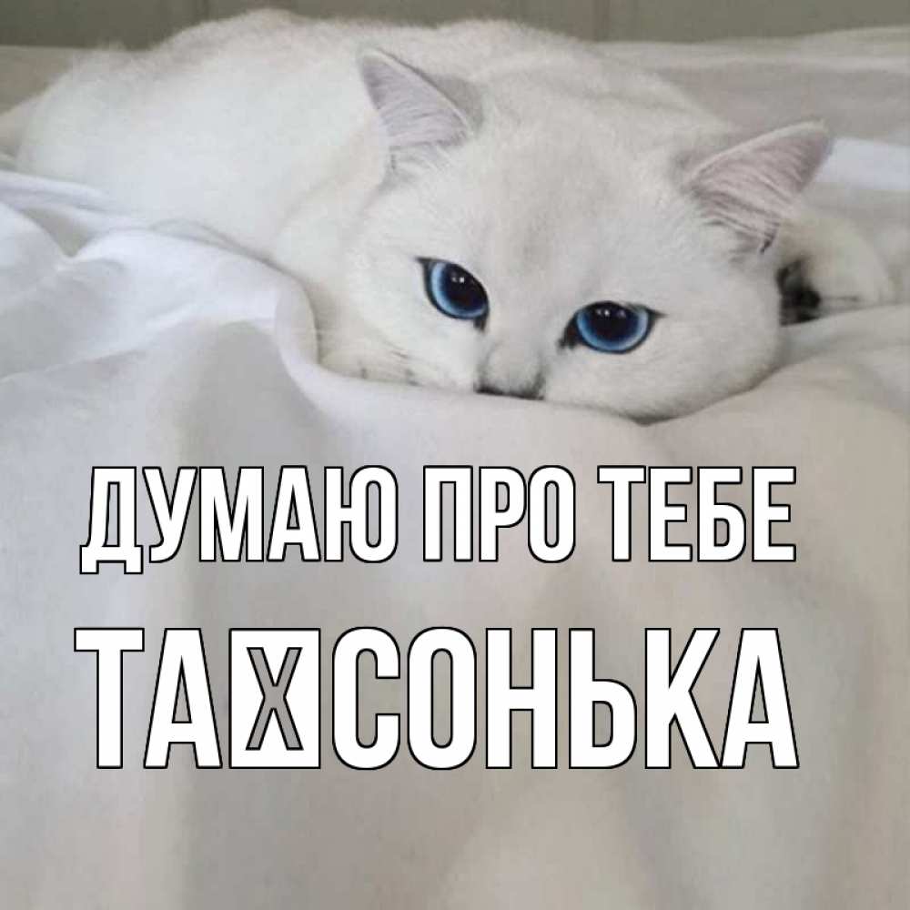 Открытка на каждый день з підписом, Таїсонька Думаю про тебе я очень по тебе скучаю и тоскую Прикольна листівка з побажанням онлайн скачати безкоштовно 