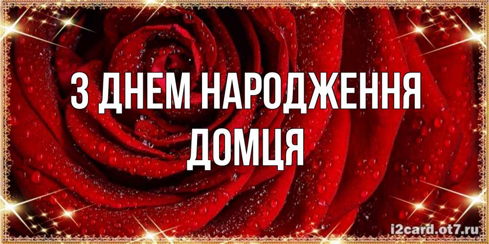 Открытка на каждый день з підписом, Домця З Днем народження роса на розе блестящая в лучах солнца Прикольна листівка з побажанням онлайн скачати безкоштовно 