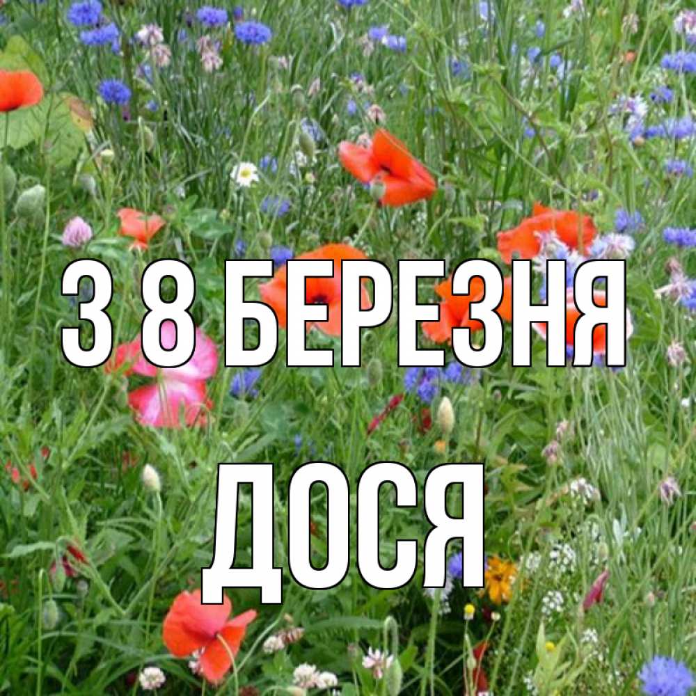 Открытка на каждый день з підписом, Дося З 8 БЕРЕЗНЯ международный женский день 4 Прикольна листівка з побажанням онлайн скачати безкоштовно 