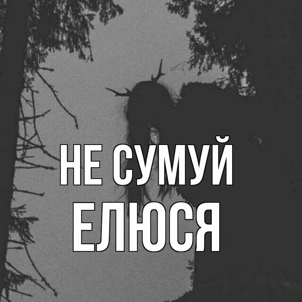 Открытка на каждый день з підписом, Елюся Не сумуй чудище лесное Прикольна листівка з побажанням онлайн скачати безкоштовно 