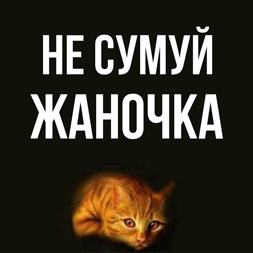 Открытка на каждый день з підписом, Жаночка Не сумуй лежащий кот в темноте Прикольна листівка з побажанням онлайн скачати безкоштовно 