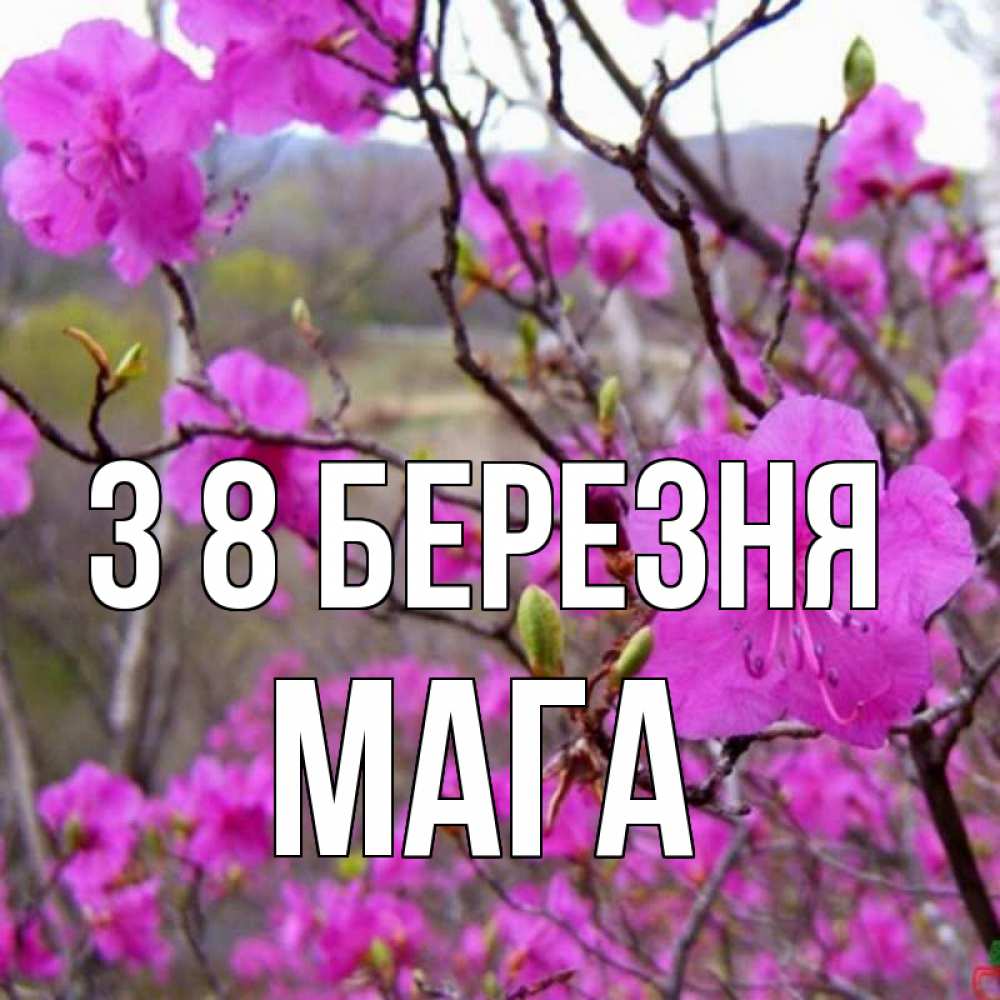 Открытка на каждый день з підписом, Мага З 8 БЕРЕЗНЯ международный женский день Прикольна листівка з побажанням онлайн скачати безкоштовно 