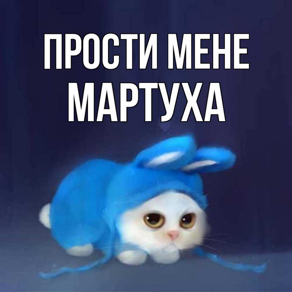 Открытка на каждый день з підписом, Мартуха Прости мене невинный котозай просит прощения Прикольна листівка з побажанням онлайн скачати безкоштовно 