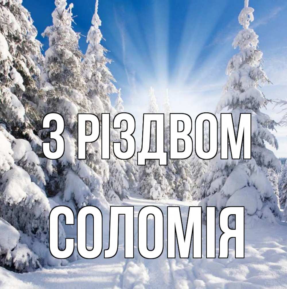 Открытка на каждый день з підписом, Соломія З Різдвом зима, лес Прикольна листівка з побажанням онлайн скачати безкоштовно 