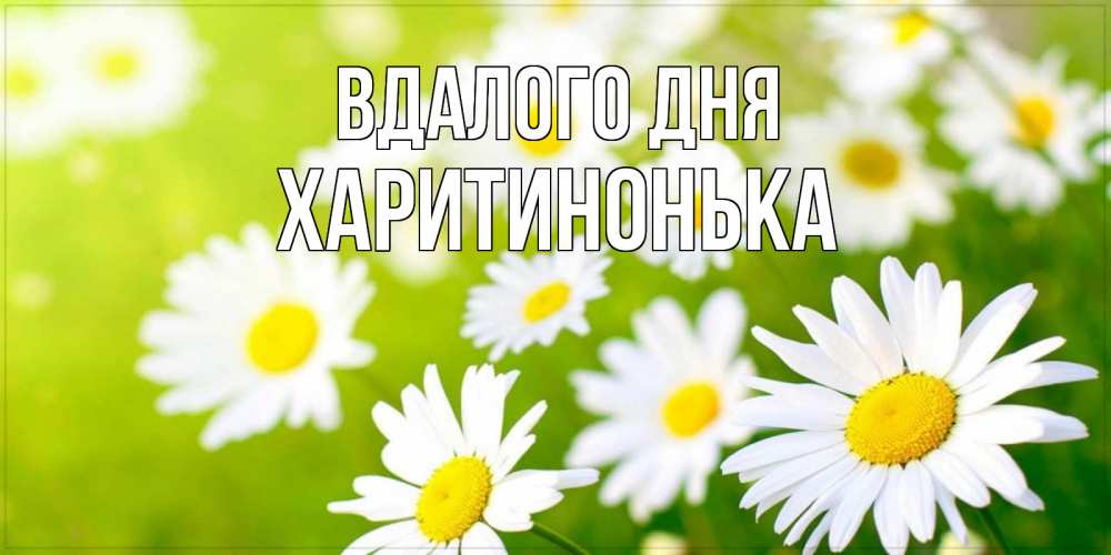 Открытка на каждый день з підписом, Харитинонька Вдалого дня открытка с ромашками на зеленом фоне Прикольна листівка з побажанням онлайн скачати безкоштовно 