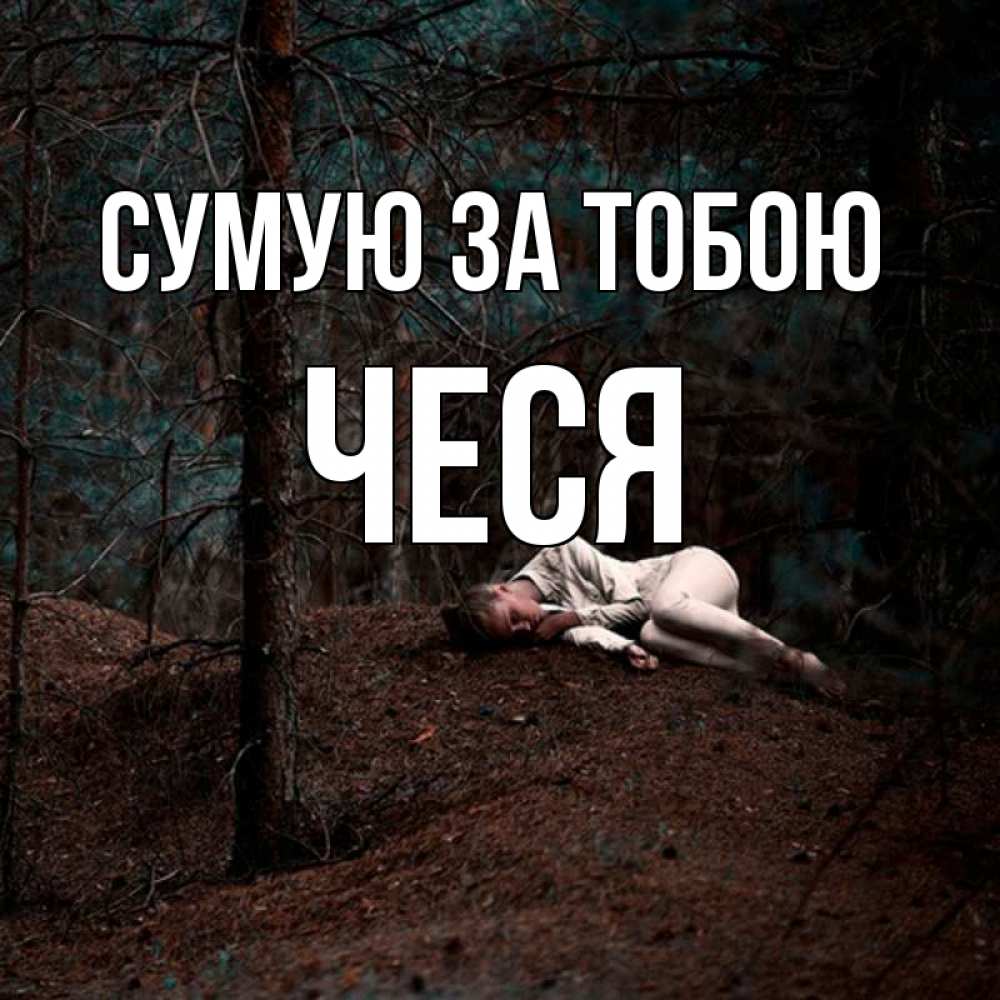 Открытка на каждый день з підписом, Чеся Сумую за тобою очень Прикольна листівка з побажанням онлайн скачати безкоштовно 