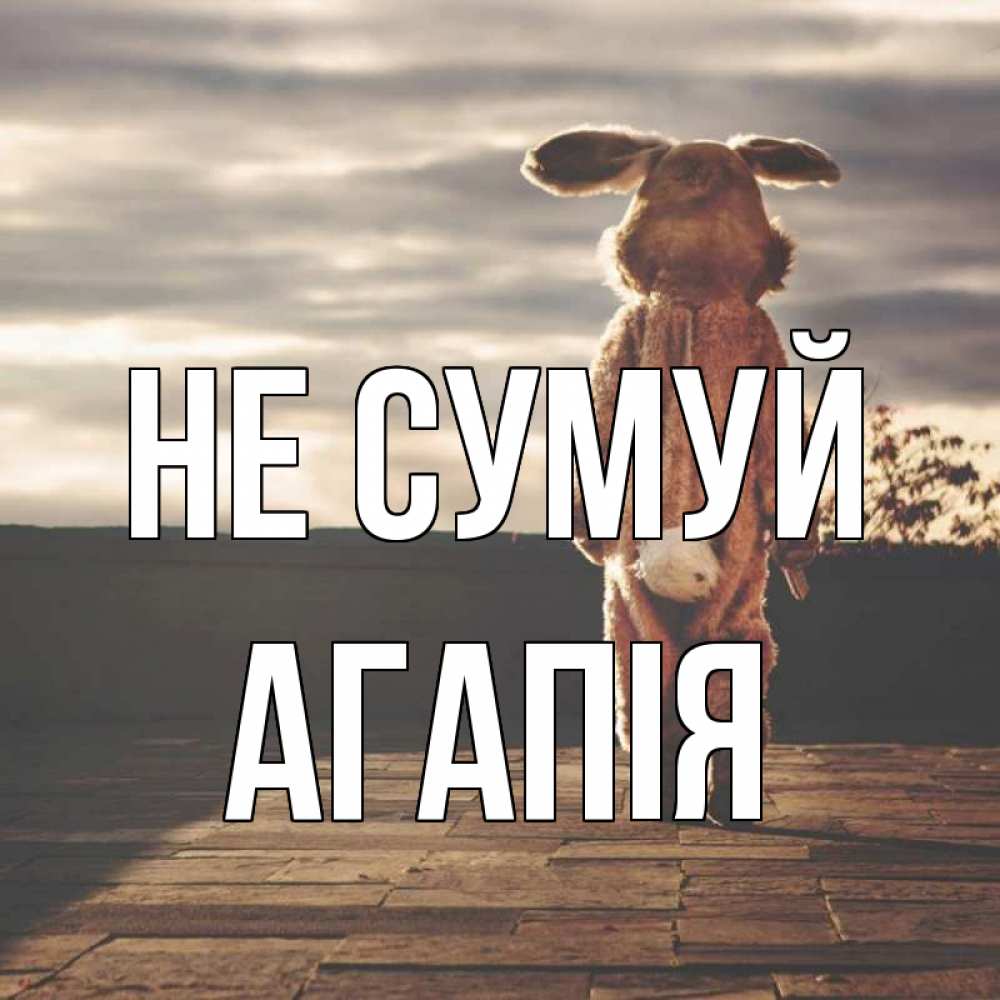Открытка на каждый день з підписом, Агапія Не сумуй со спины Прикольна листівка з побажанням онлайн скачати безкоштовно 