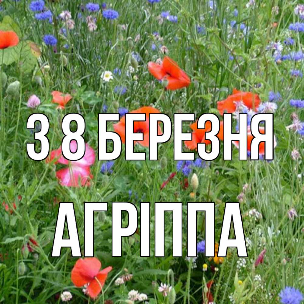 Открытка на каждый день з підписом, Агріппа З 8 БЕРЕЗНЯ международный женский день 4 Прикольна листівка з побажанням онлайн скачати безкоштовно 