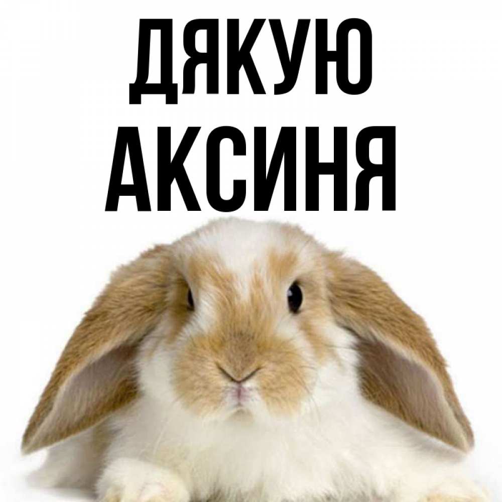 Открытка на каждый день з підписом, Аксиня Дякую коричнево белый заяц Прикольна листівка з побажанням онлайн скачати безкоштовно 