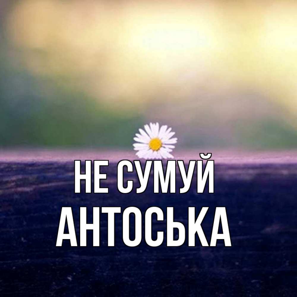 Открытка на каждый день з підписом, Антоська Не сумуй красота Прикольна листівка з побажанням онлайн скачати безкоштовно 