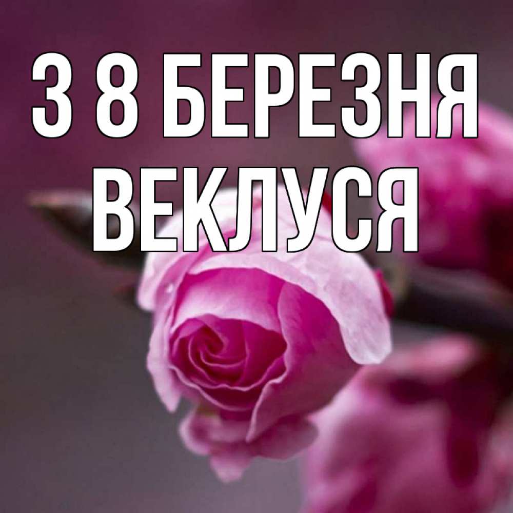 Открытка на каждый день з підписом, Веклуся З 8 БЕРЕЗНЯ весна Прикольна листівка з побажанням онлайн скачати безкоштовно 
