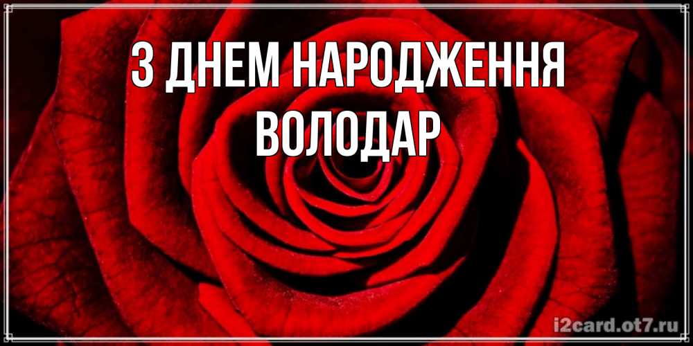 Открытка на каждый день з підписом, Володар З Днем народження алая роза Прикольна листівка з побажанням онлайн скачати безкоштовно 