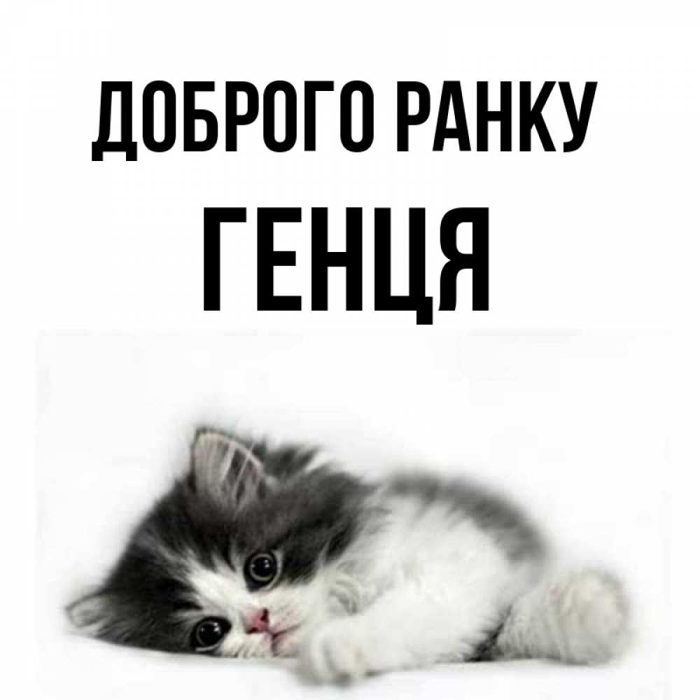 Открытка на каждый день з підписом, Генця Доброго ранку кот лапки Прикольна листівка з побажанням онлайн скачати безкоштовно 
