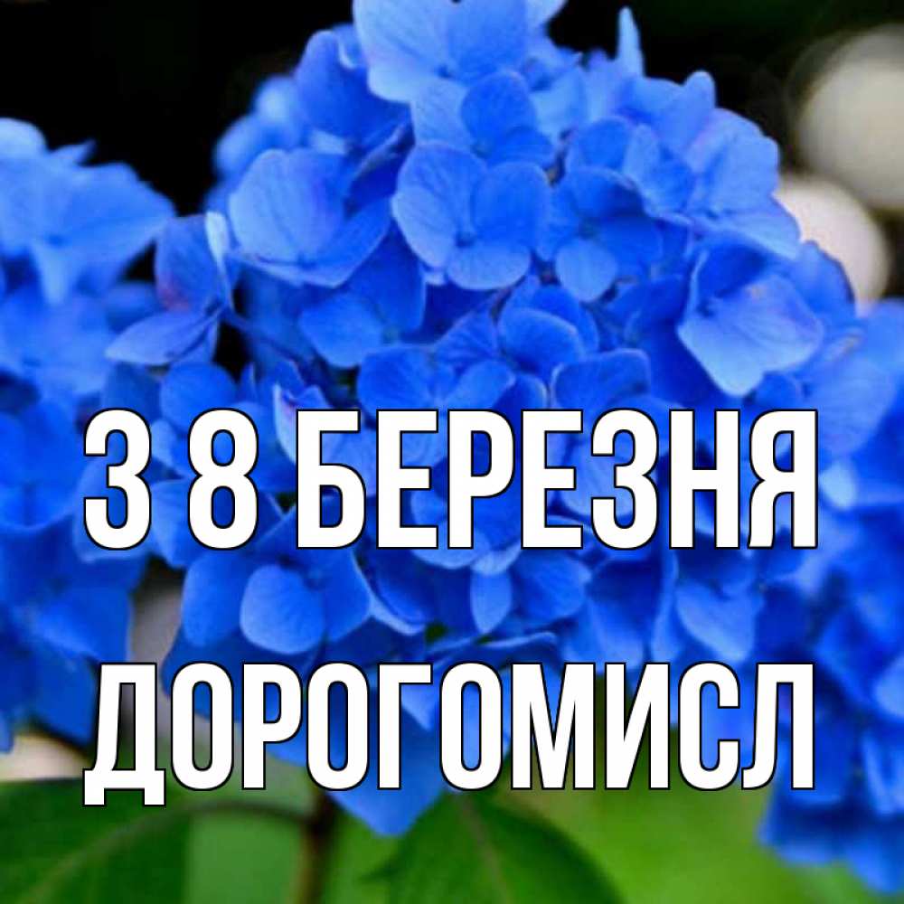 Открытка на каждый день з підписом, Дорогомисл З 8 БЕРЕЗНЯ синие цветы Прикольна листівка з побажанням онлайн скачати безкоштовно 