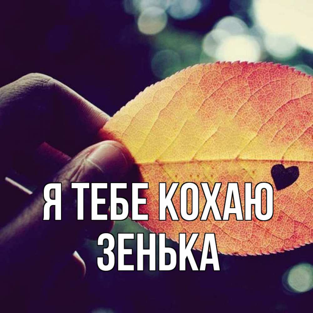 Открытка на каждый день з підписом, Зенька Я тебе кохаю держу лист Прикольна листівка з побажанням онлайн скачати безкоштовно 