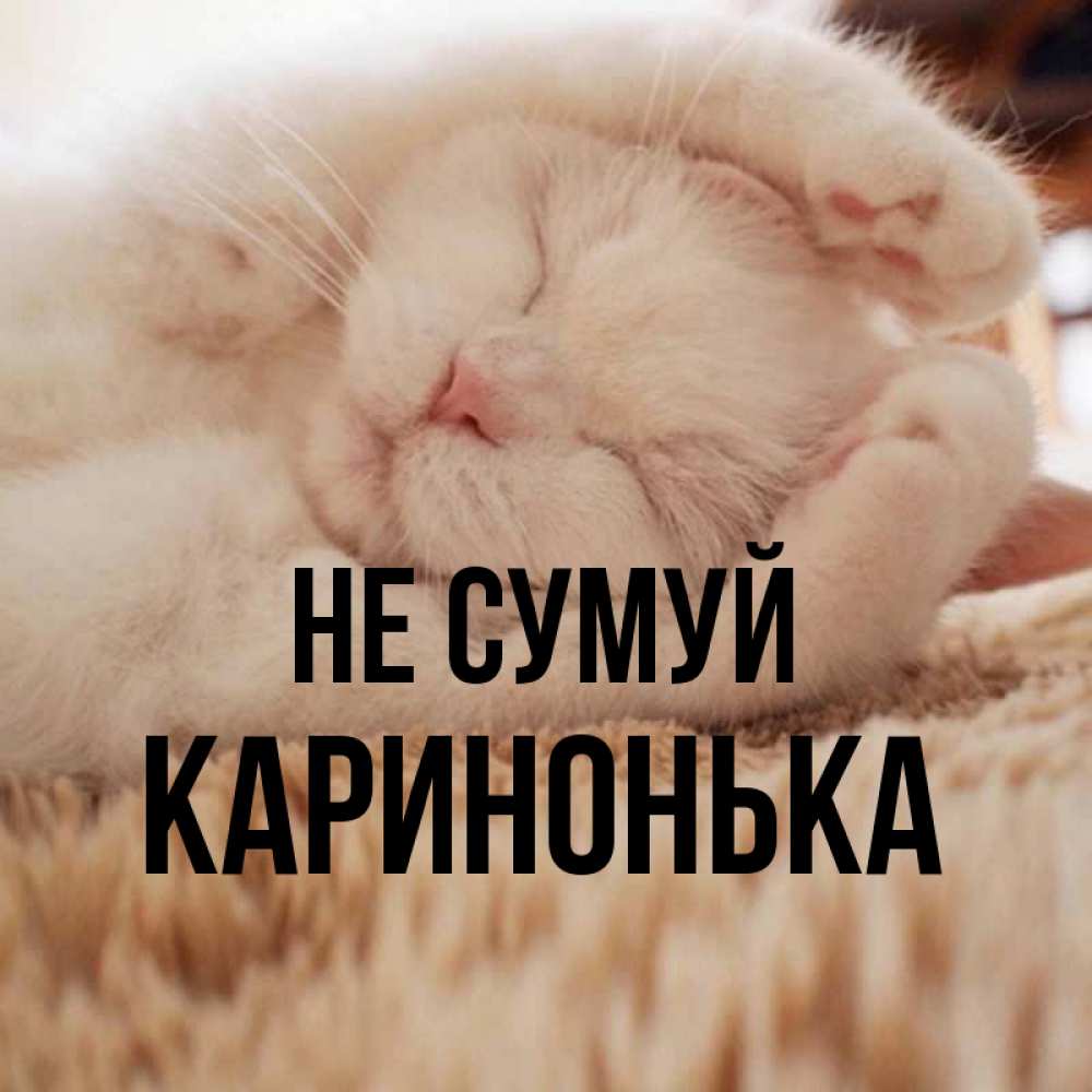 Открытка на каждый день з підписом, Каринонька Не сумуй Котенок спит Прикольна листівка з побажанням онлайн скачати безкоштовно 