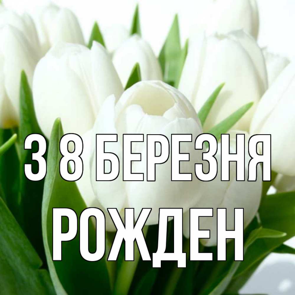 Открытка на каждый день з підписом, Рожден З 8 БЕРЕЗНЯ цветы Прикольна листівка з побажанням онлайн скачати безкоштовно 