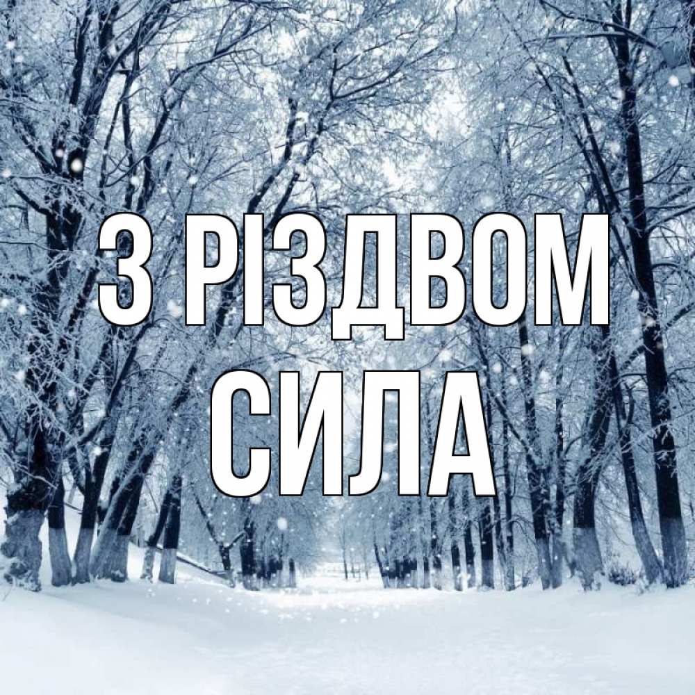 Открытка на каждый день з підписом, Сила З Різдвом снег, лес, парк Прикольна листівка з побажанням онлайн скачати безкоштовно 