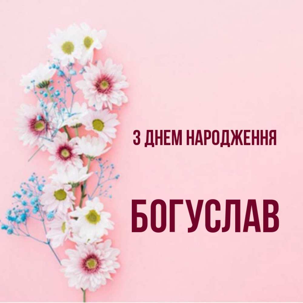 Открытка на каждый день з підписом, Богуслав З Днем народження Родная моя с днем рождения тебя картинка с цветами белыми и голубыми Прикольна листівка з побажанням онлайн скачати безкоштовно 