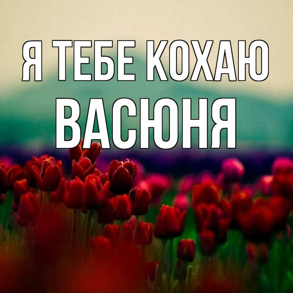 Открытка на каждый день з підписом, Васюня Я тебе кохаю тюльпаны 4 Прикольна листівка з побажанням онлайн скачати безкоштовно 