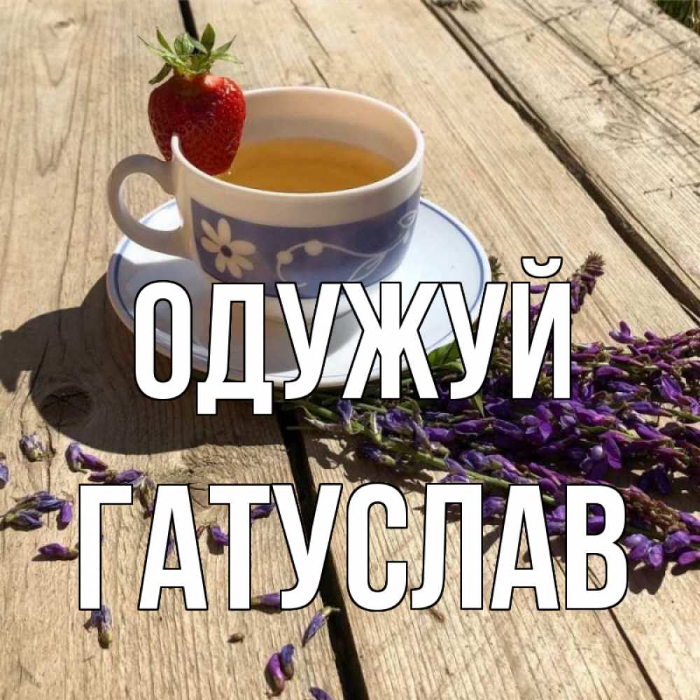 Открытка на каждый день з підписом, Гатуслав Одужуй чай Прикольна листівка з побажанням онлайн скачати безкоштовно 