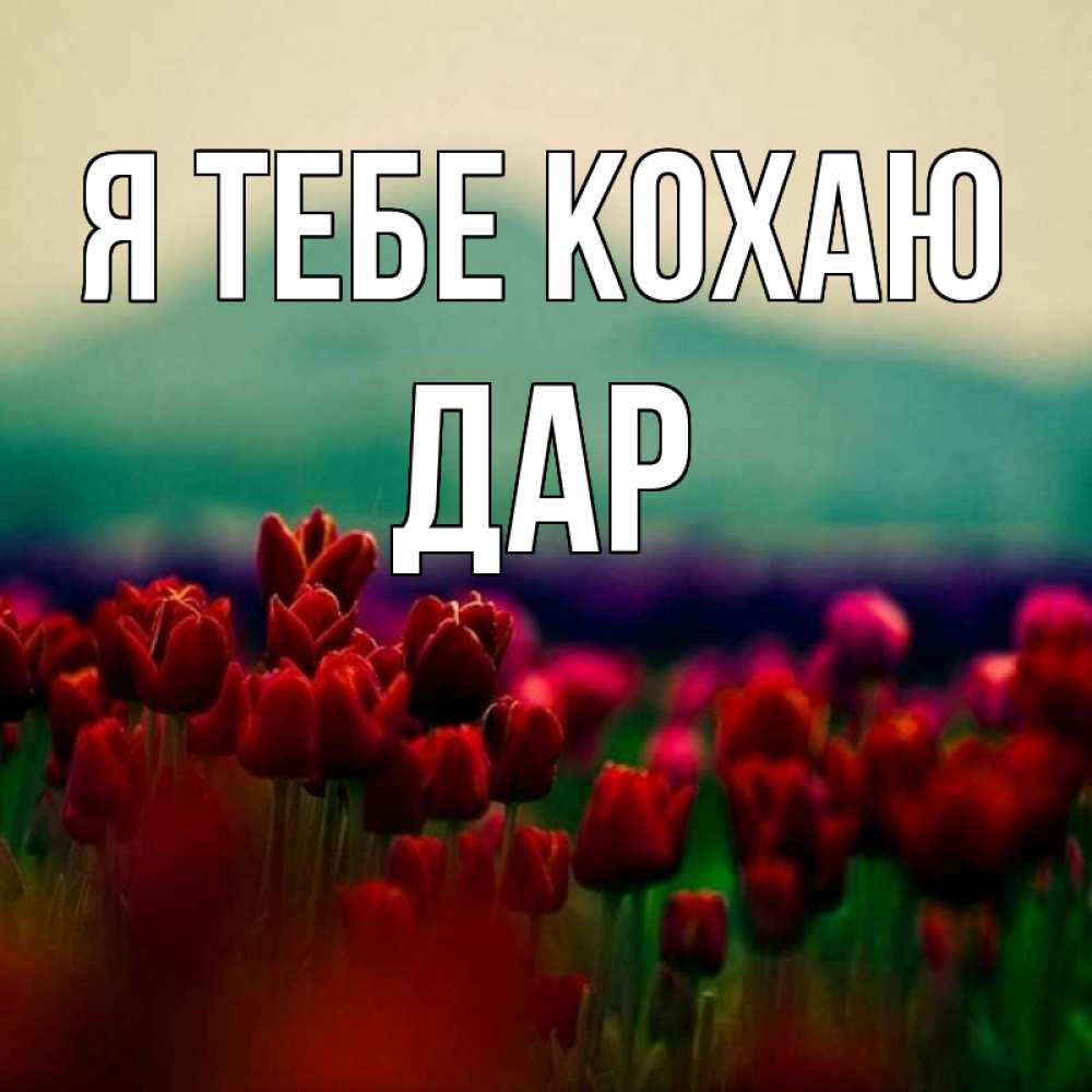 Открытка на каждый день з підписом, Дар Я тебе кохаю тюльпаны 4 Прикольна листівка з побажанням онлайн скачати безкоштовно 