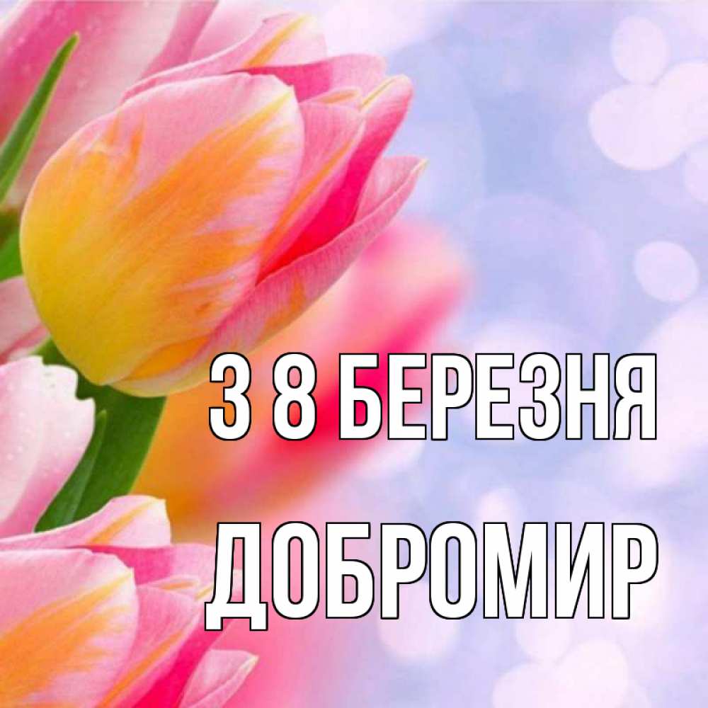 Открытка на каждый день з підписом, Добромир З 8 БЕРЕЗНЯ тюльпаны 2 Прикольна листівка з побажанням онлайн скачати безкоштовно 